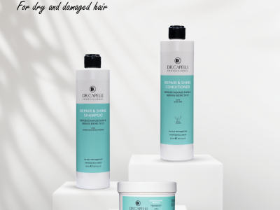 repair and shine range